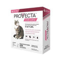 Pet Collar V479