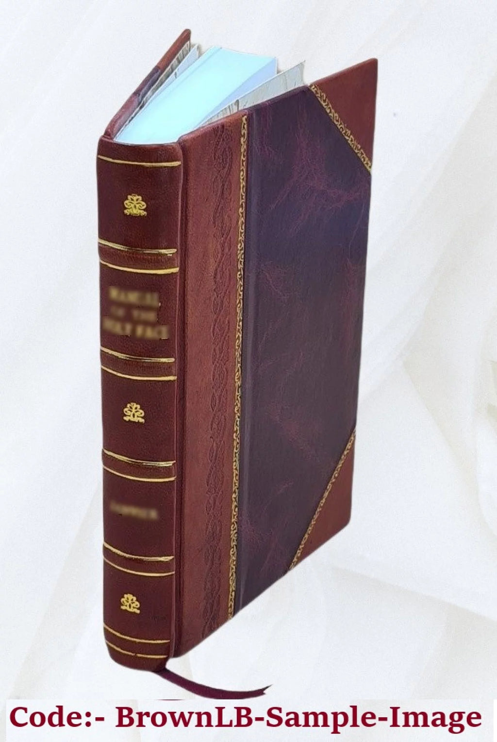 Leather Bound I1237