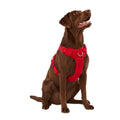 Neoprene Dog Harness E961933