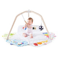 Developmental Activity Gym & Play Mat A95621