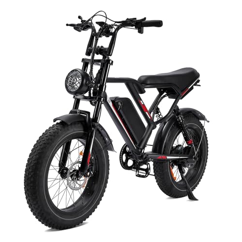 1000W 20" Fat Tire Electric Bike N3333
