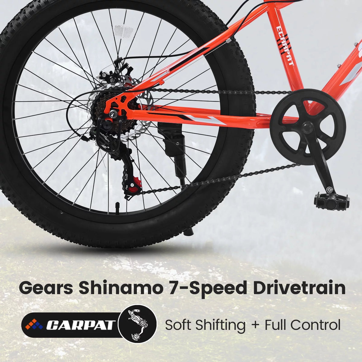 24 Inch Fat Tire Bike 7 Speeds Dual Disc Brake High-Carbon Steel Frame C595