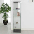 64” H Contemporary 4-Shelf Glass Display Cabinet with Door D10444