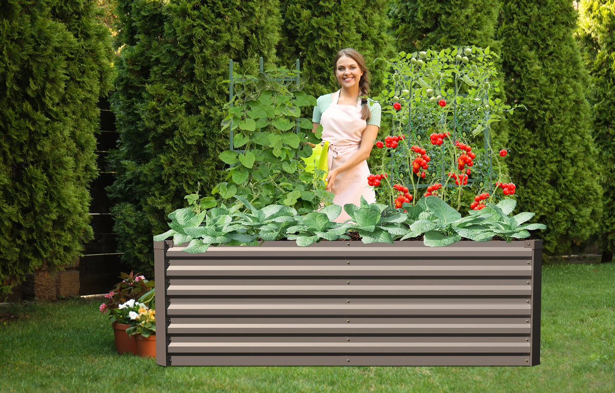 Galvanized Steel Raised Garden Bed 6x3x2 ft Brown K596879