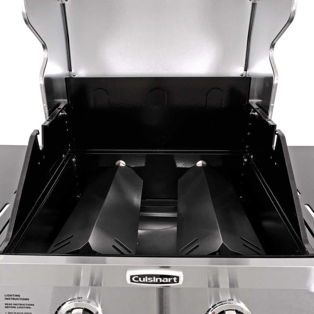 2-Burner Dual Fuel Gas Grill Y6695
