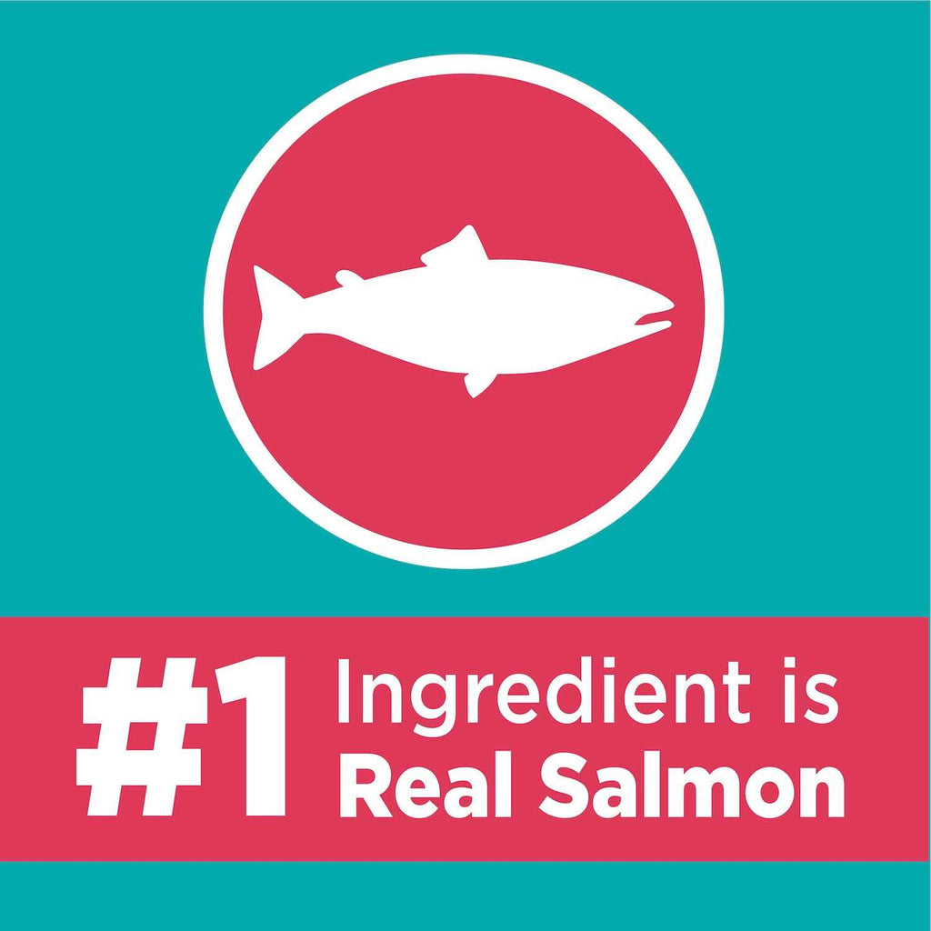 Salmon Adult Dry Cat Food I61251