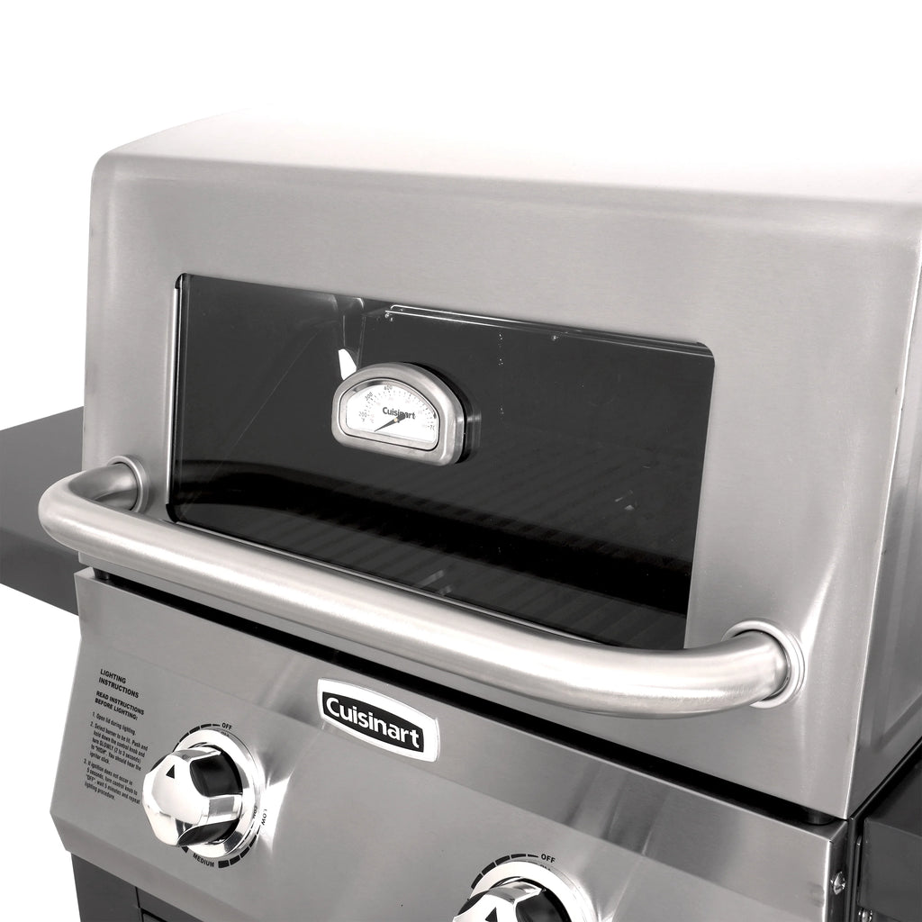 2-Burner Dual Fuel Gas Grill Y6695
