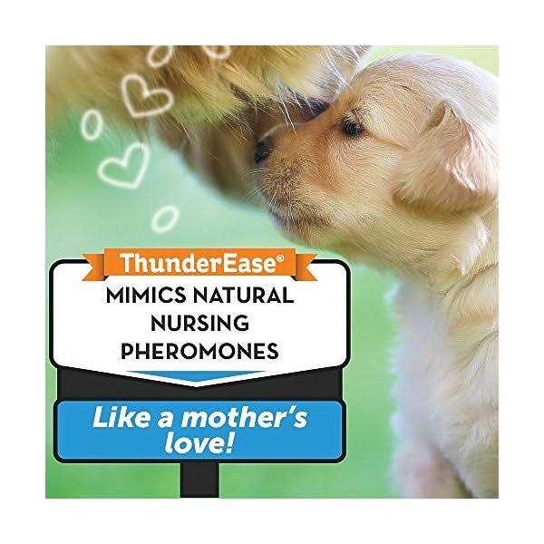 Calming Diffuser Kit Dog H252575