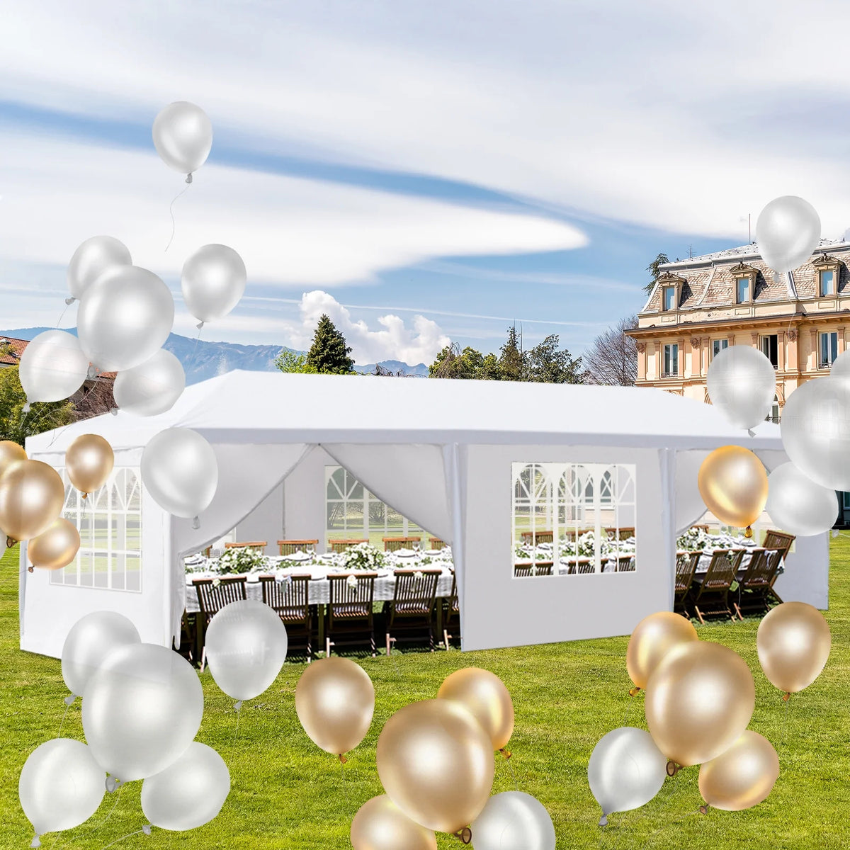 10x30ft Canopy Tent A798