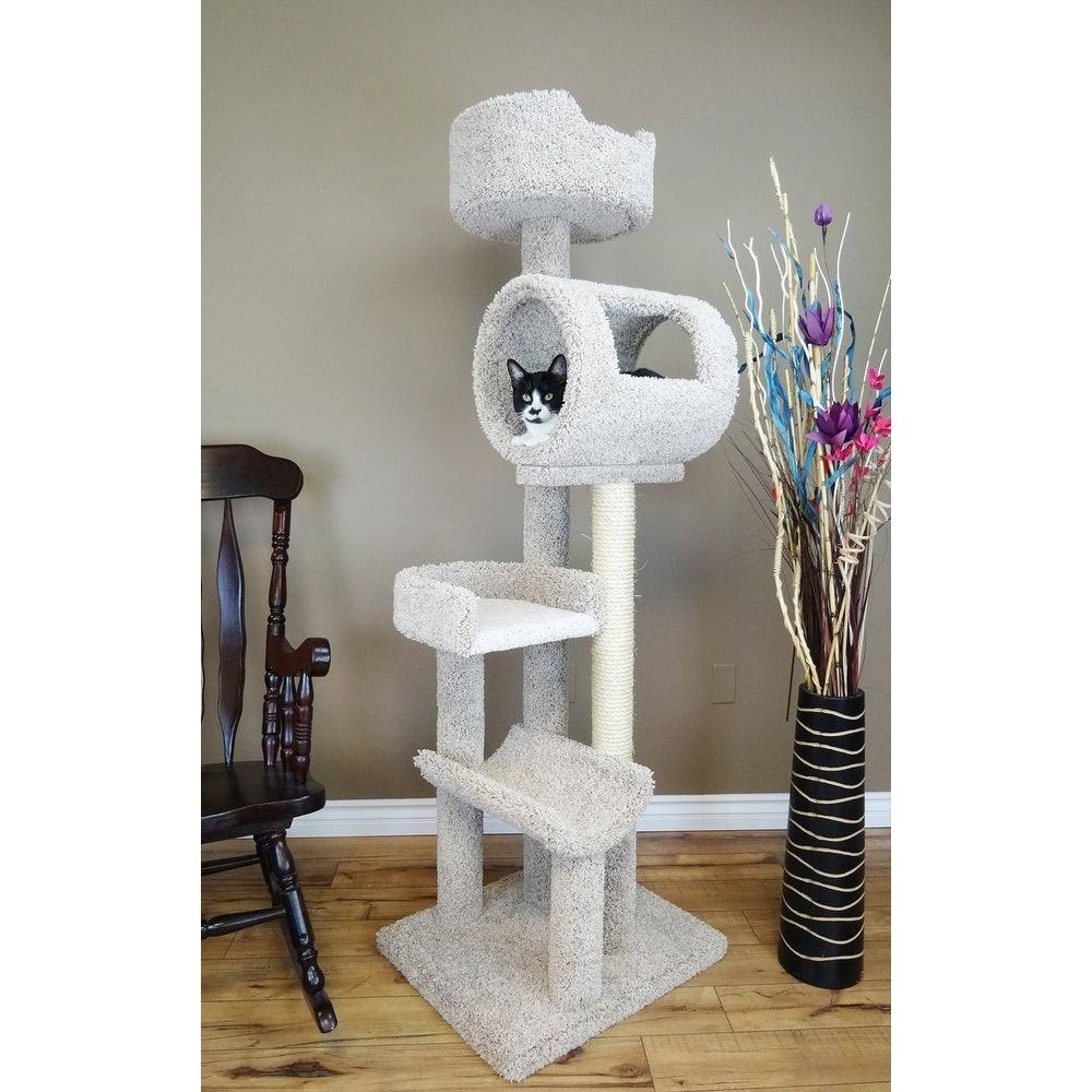 Cat Condo E533272