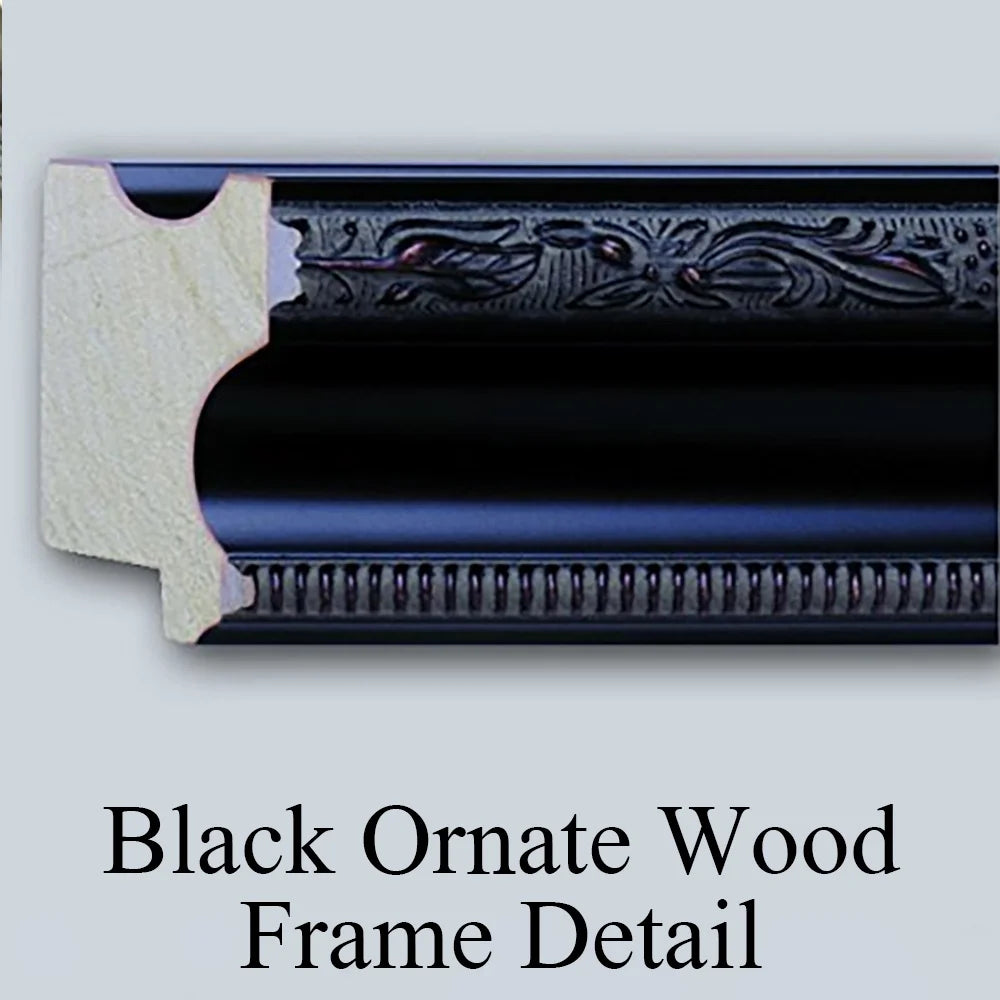 Black Ornate Wood Framed Double Matted Museum Art Print H9254