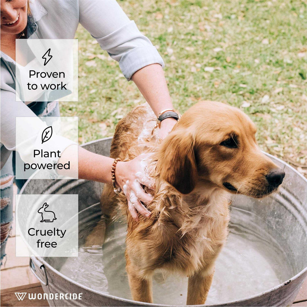 Flea and Tick Shampoo for Dogs Cats Y780836