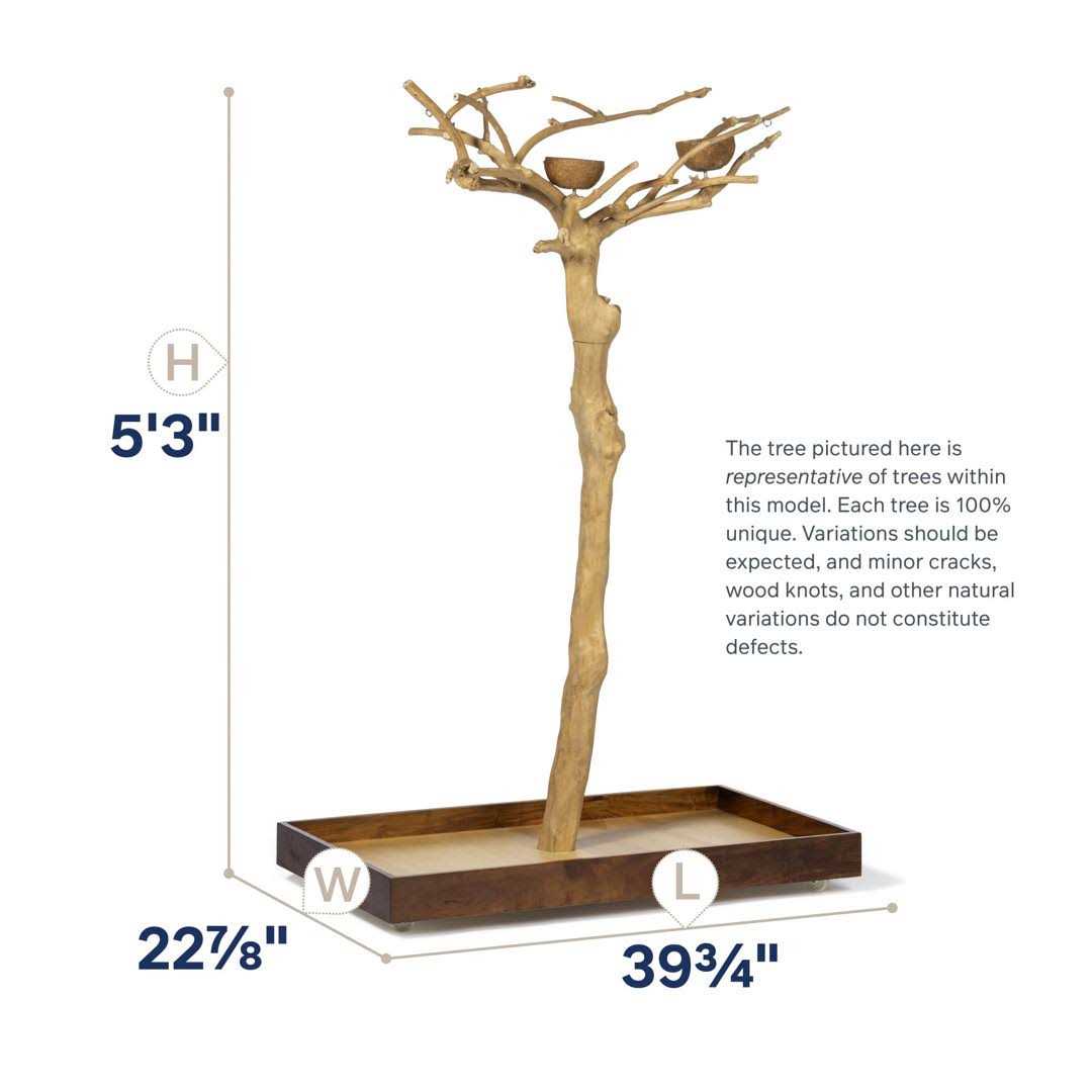 Coffeawood Tree Floor Stand G587116