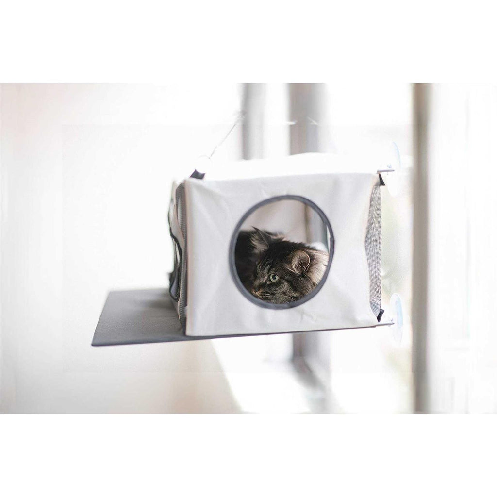 Cat Penthouse N276886