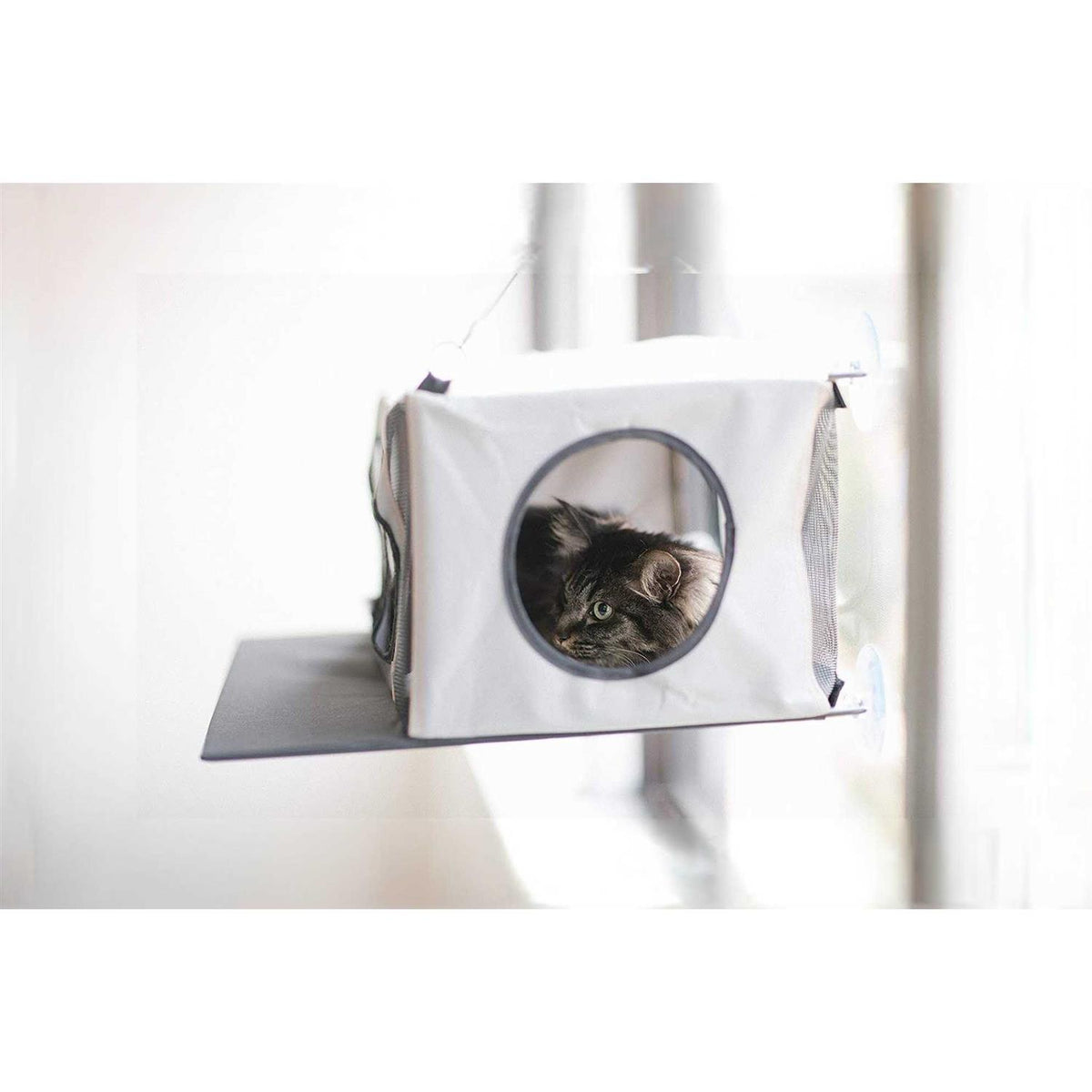 Cat Penthouse N276886