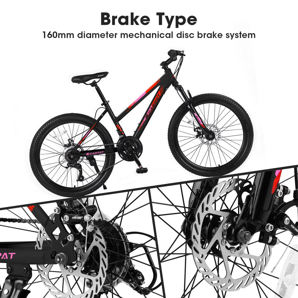 Blue 21-Speed Disc Brakes Mountain Bike D3252