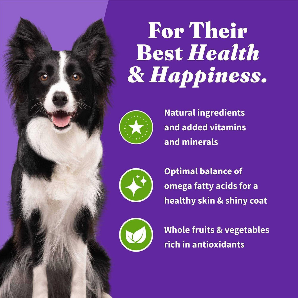 Vegan Plant-Based Dry Dog Food O7142