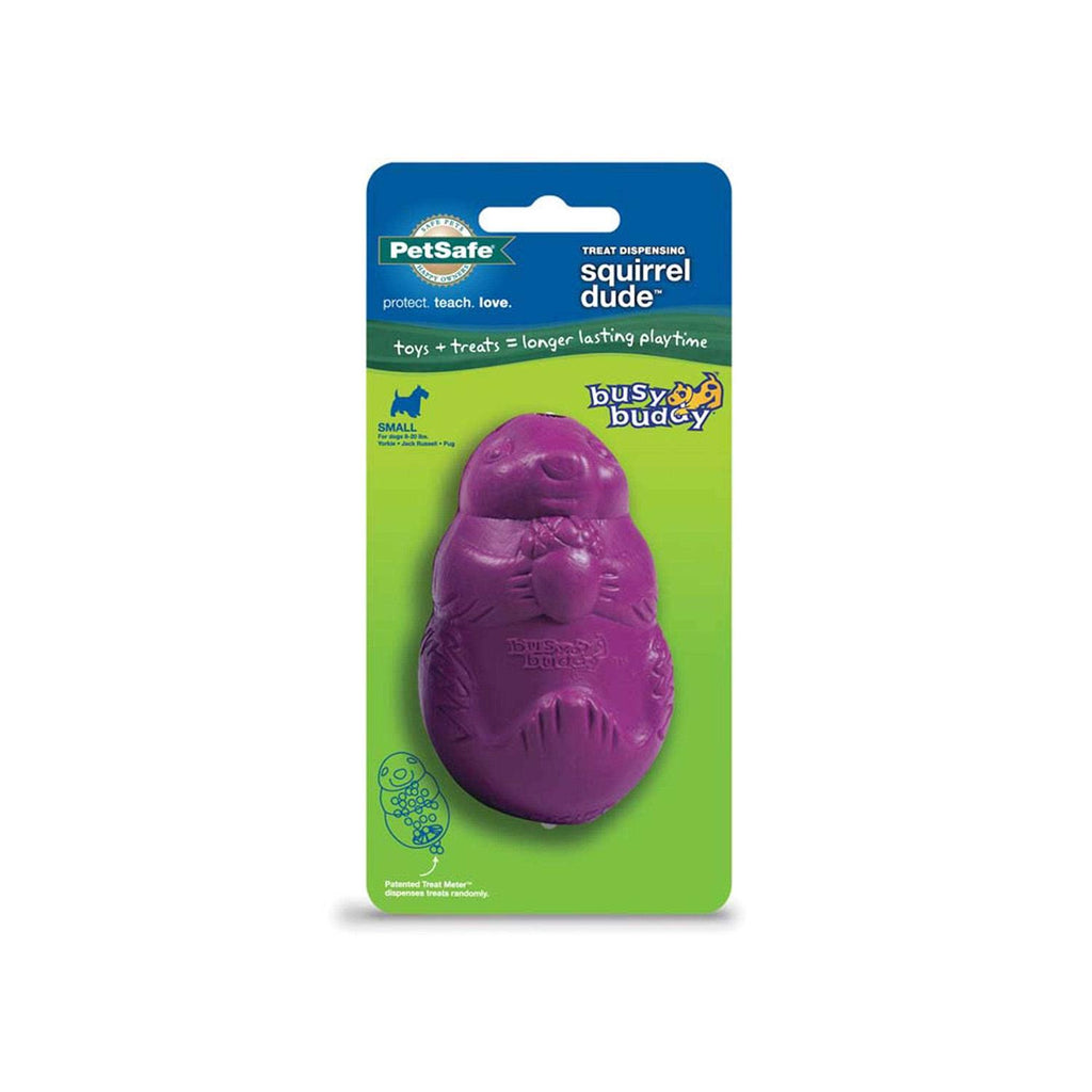 Squirrel Dude Dog Toy K2917
