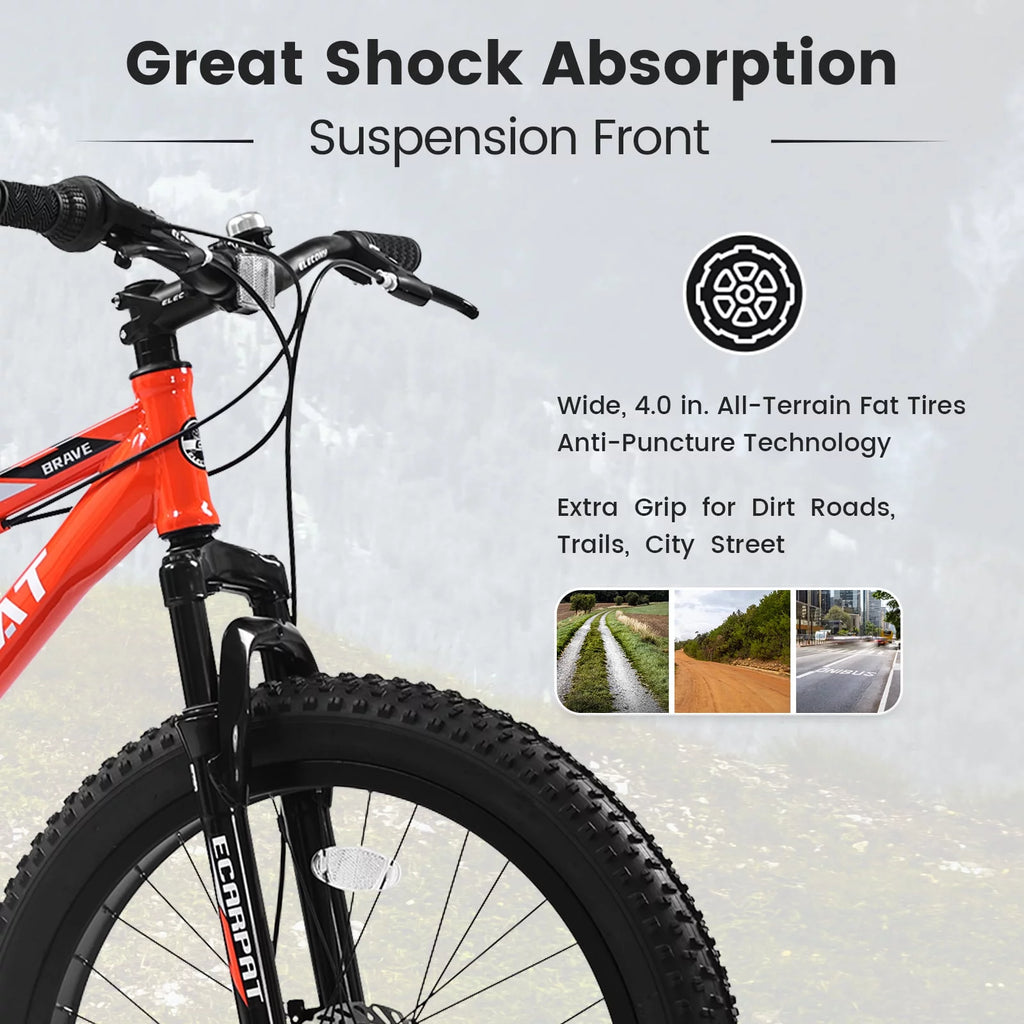 24 Inch Fat Tire Bike 7 Speeds Dual Disc Brake High-Carbon Steel Frame C595