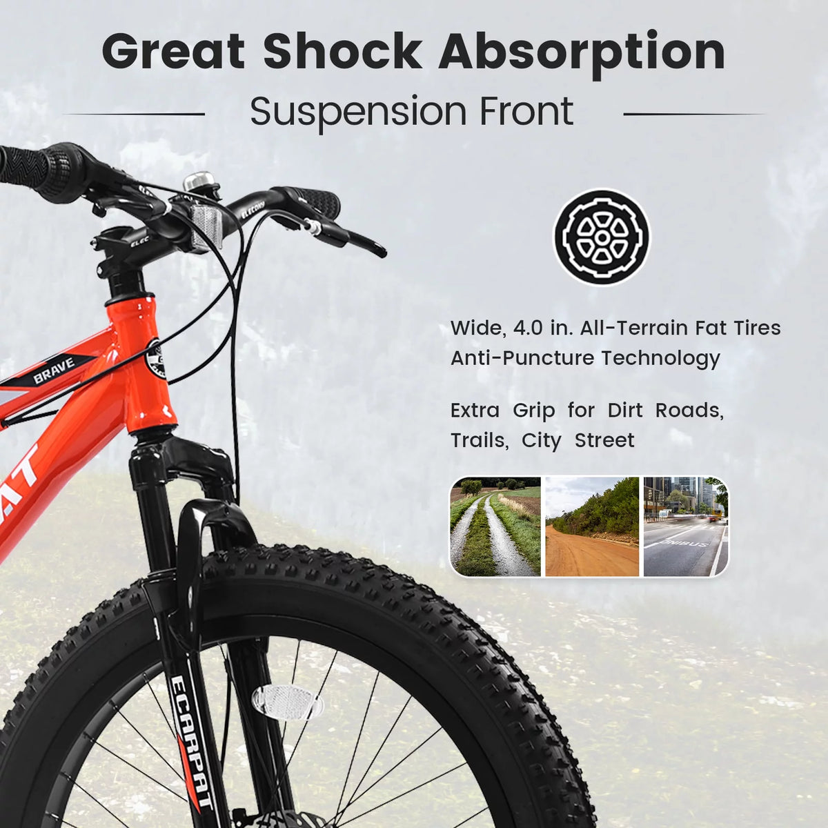 24 Inch Fat Tire Bike 7 Speeds Dual Disc Brake High-Carbon Steel Frame C595