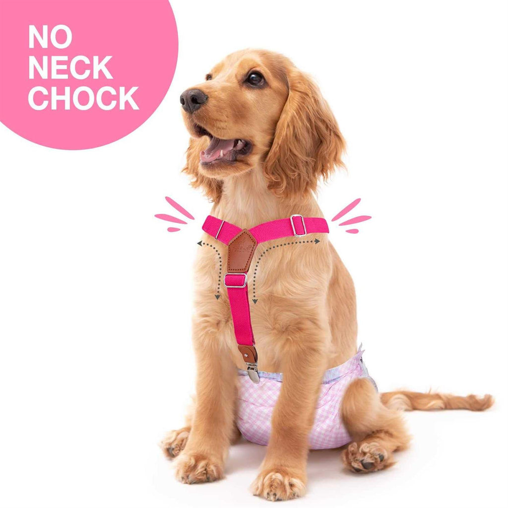 2 Pieces Dog Diaper Suspenders V296