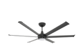Black Ceiling Fan Y409626