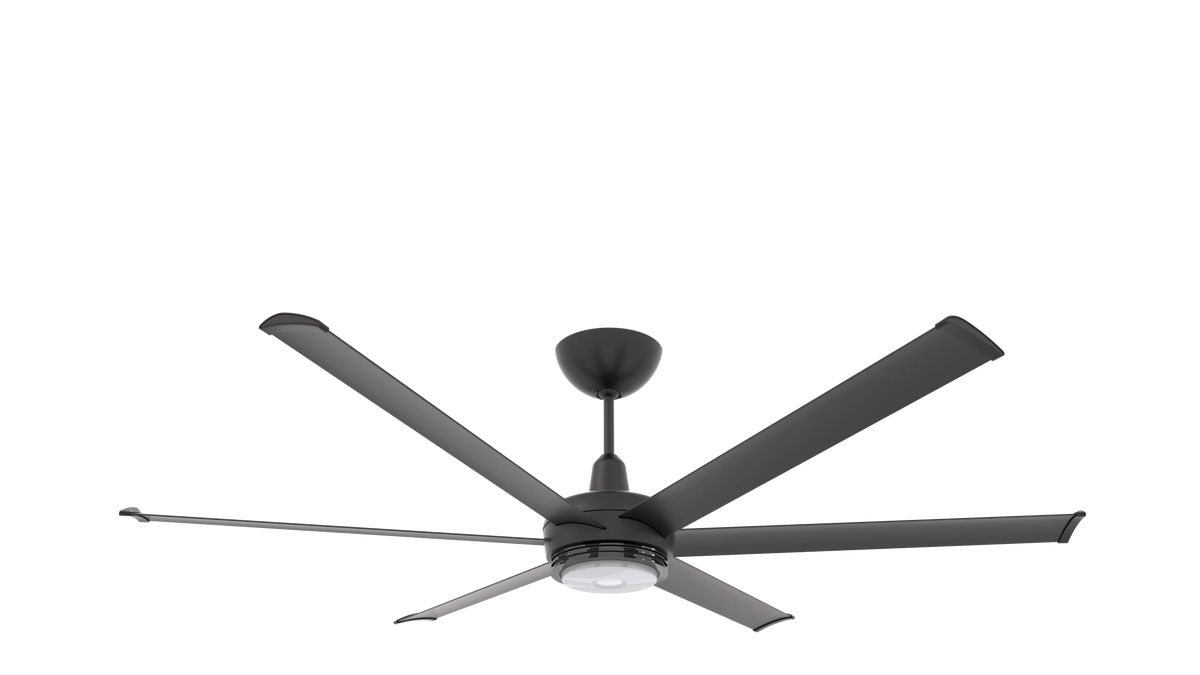 Black Ceiling Fan Y409626