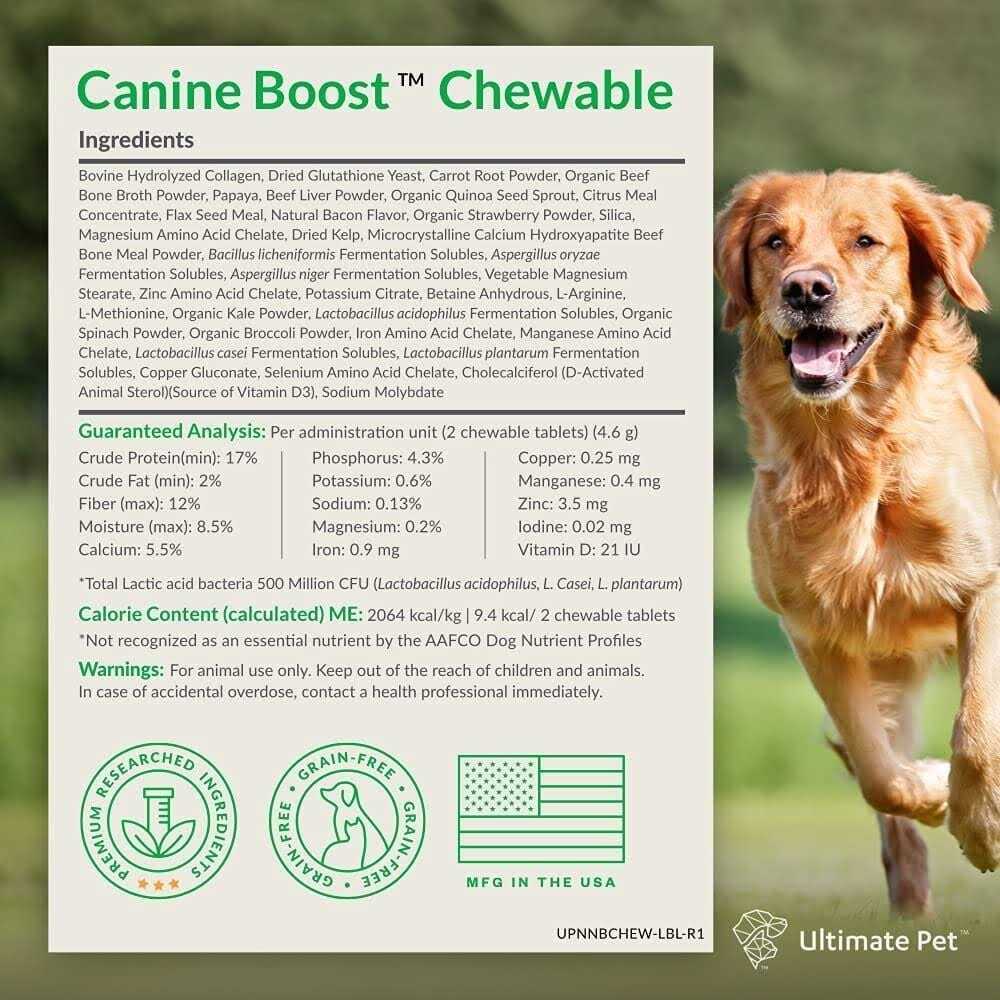 Canine Supplement Powder for Dogs X874808