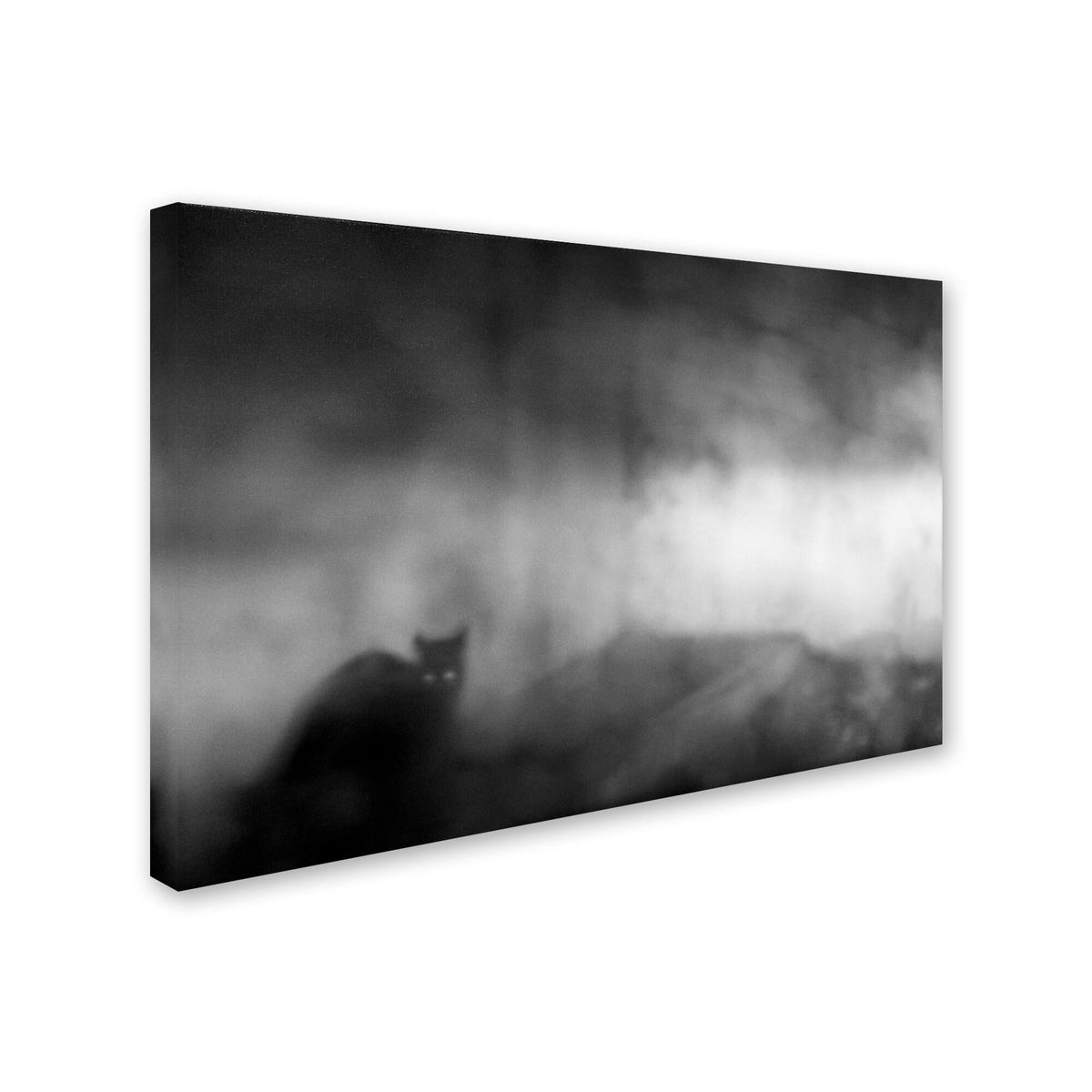 Canvas Art V819219