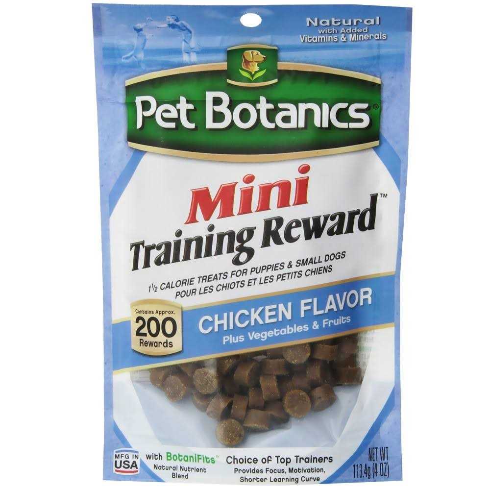 Mini Training Dog A54369