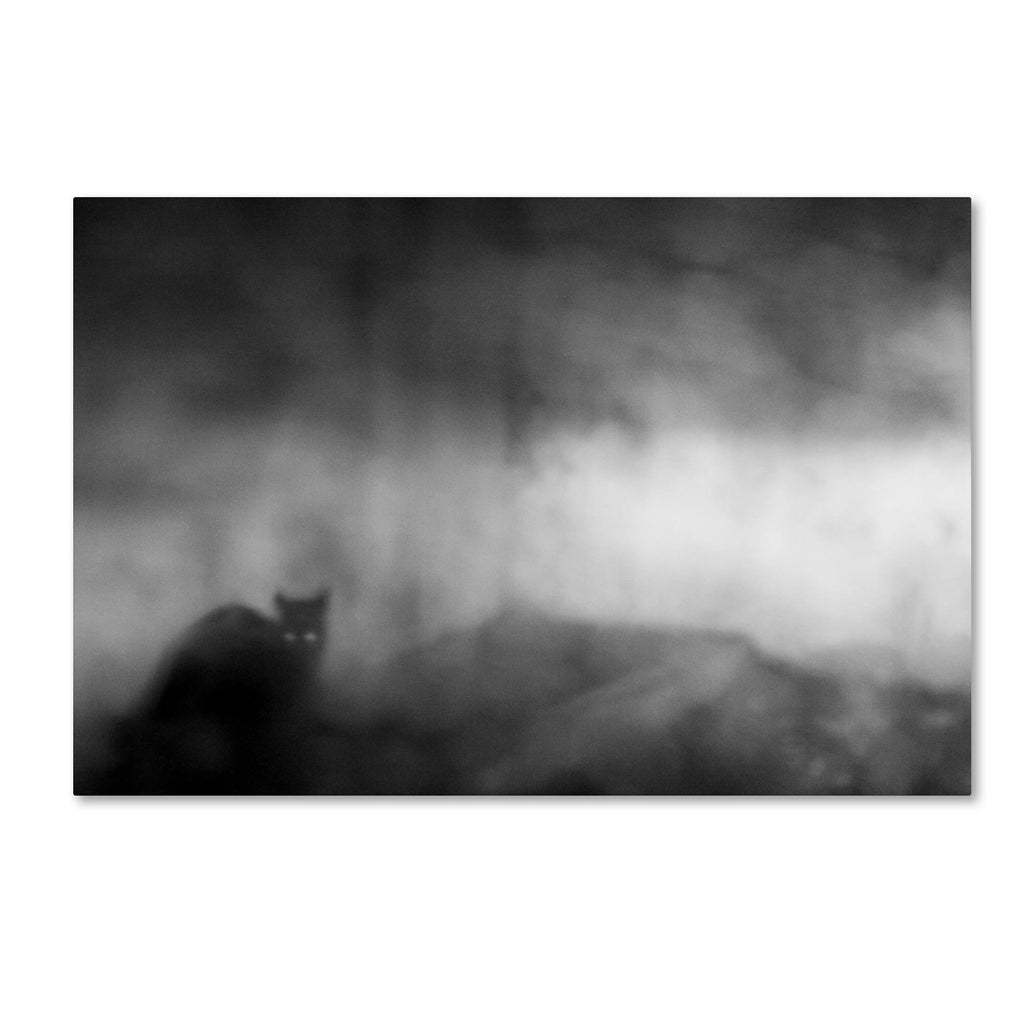 Canvas Art V819219