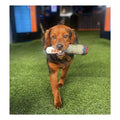 Plush Dog Toy X1729
