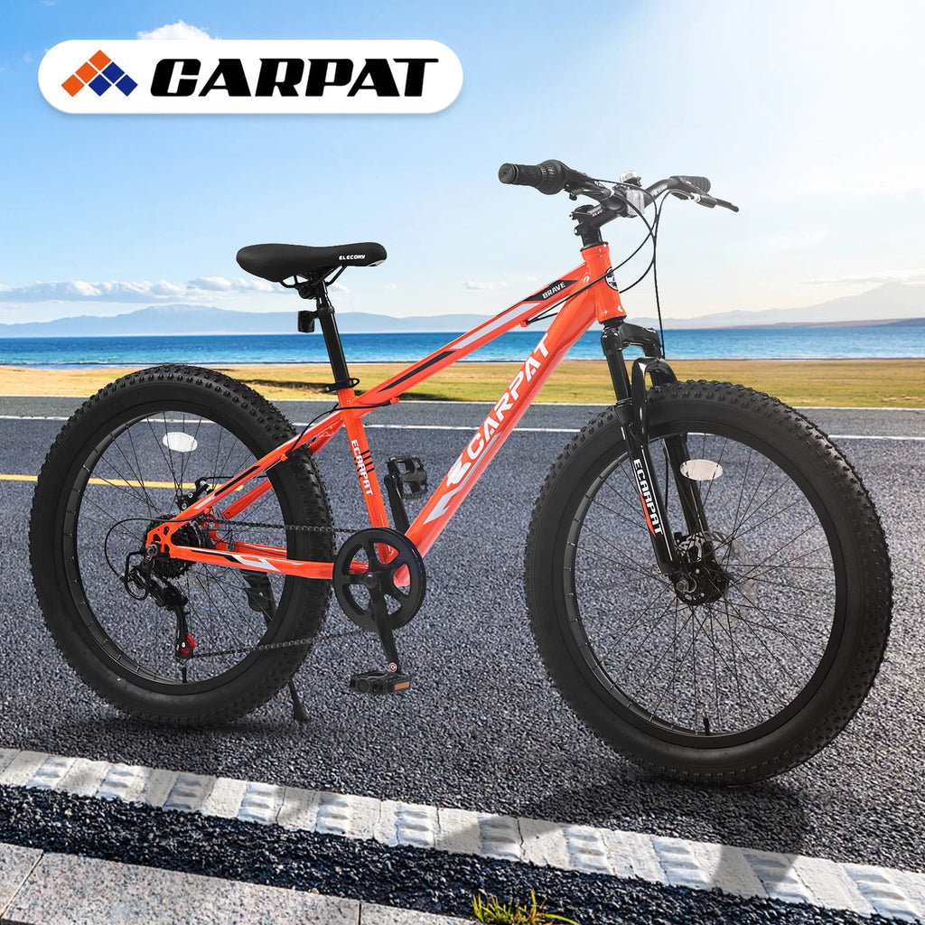 24 Inch Fat Tire Bike 7 Speeds Dual Disc Brake High-Carbon Steel Frame C595