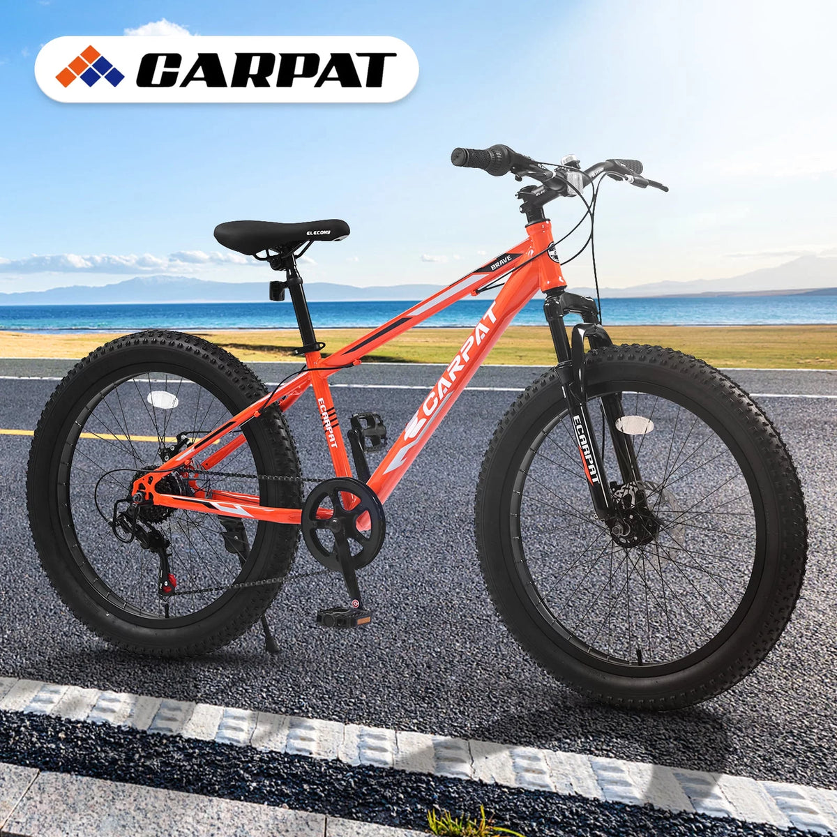 24 Inch Fat Tire Bike 7 Speeds Dual Disc Brake High-Carbon Steel Frame C595