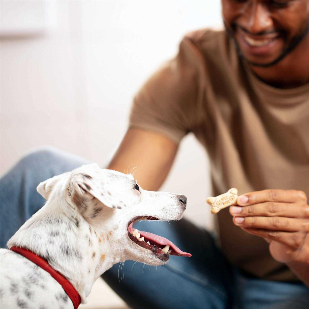 Mini Dog Biscuits Q361