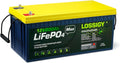 12V 200Ah LiFePO4 Lithium Battery with 100A BMS C45254