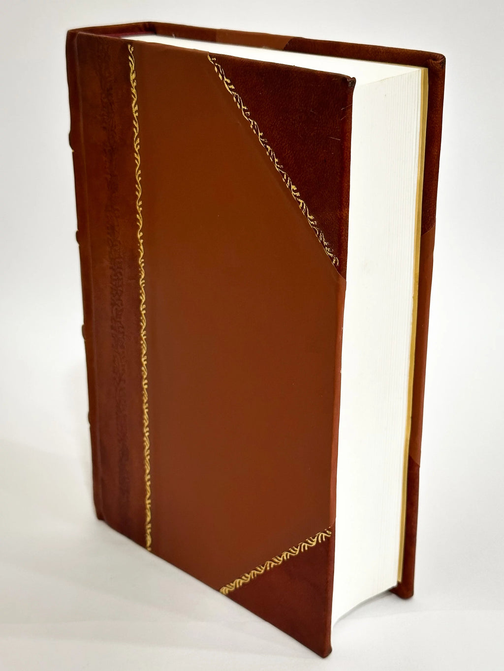 Bible History Leather Bound N770695