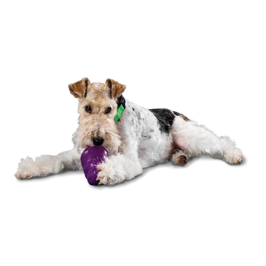 Squirrel Dude Dog Toy K2917