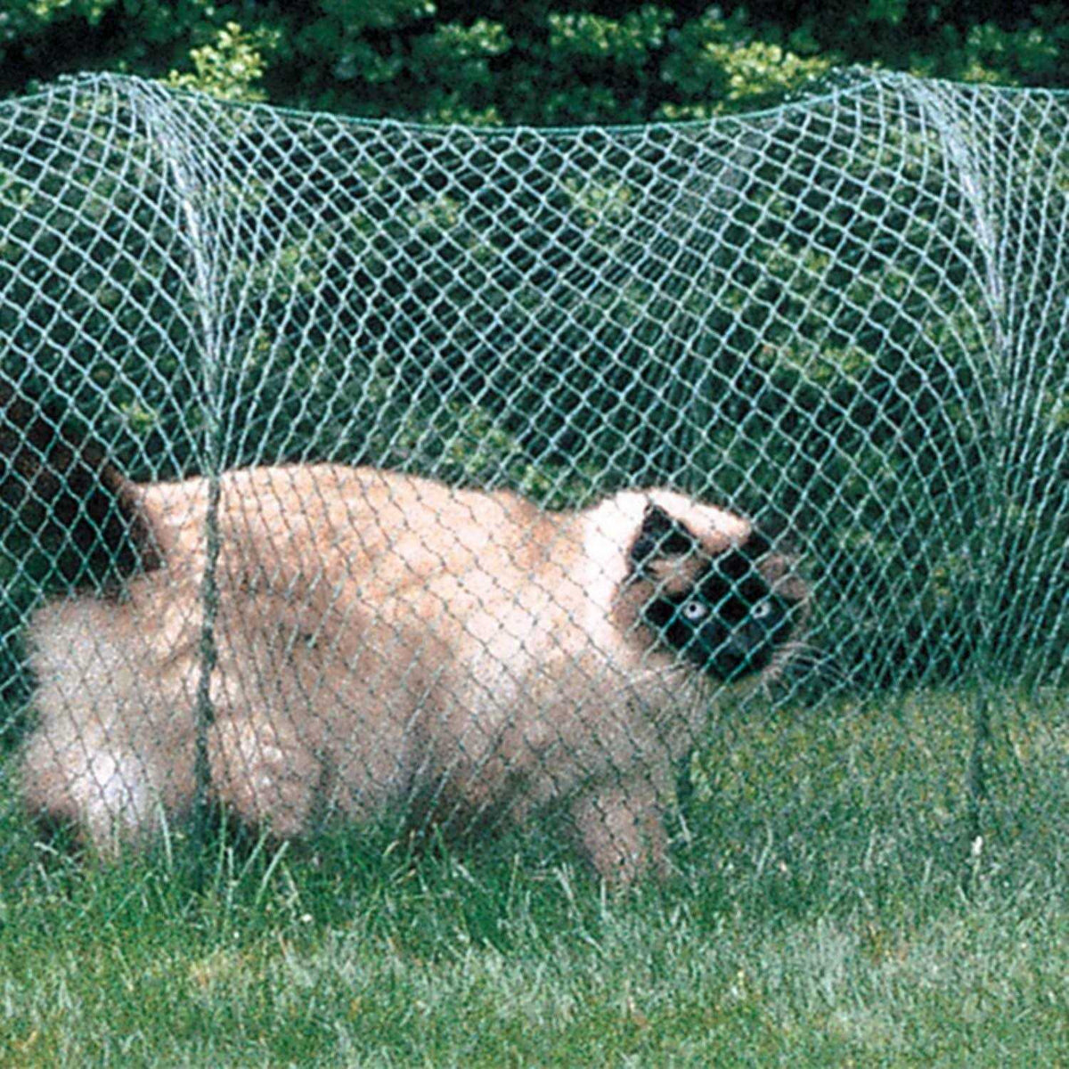 Outdoor Cat Enclosure M285
