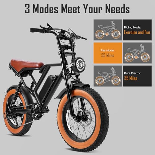 1000W 20" Fat Tire Electric Bike N3333