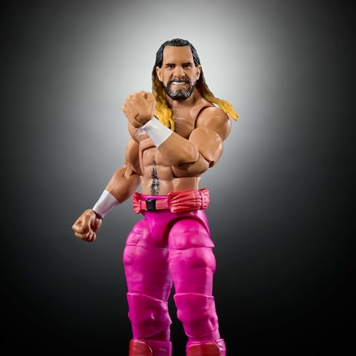WWE Elite Collection Action Figure & Accessories T973