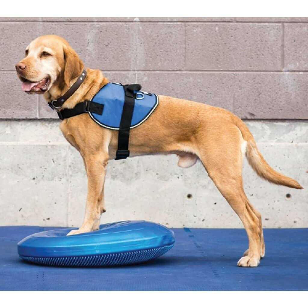 Balance Disc X72414