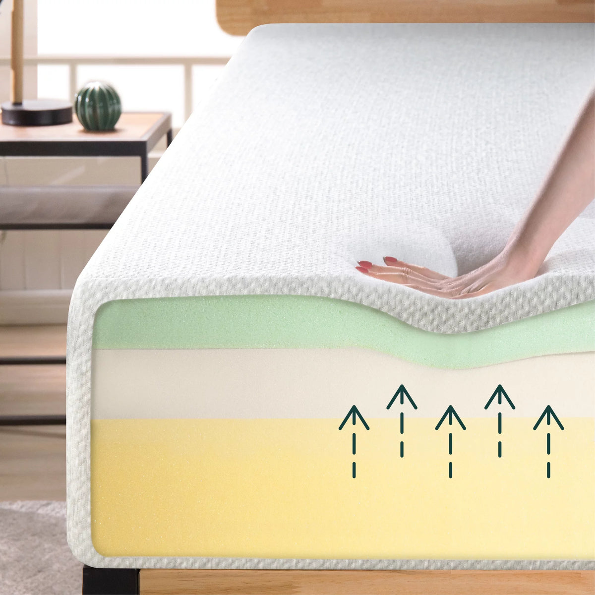 12 Memory Foam Queen Mattress Y616