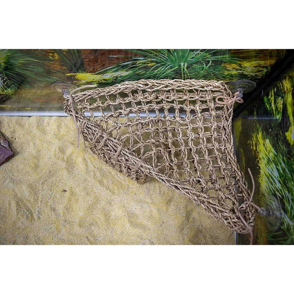 Lizard Lounger S591799