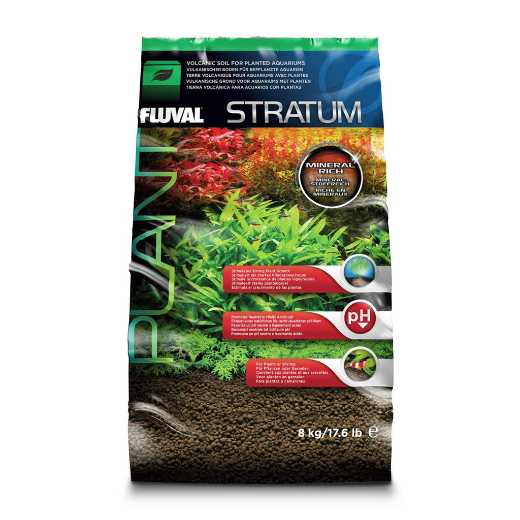 Plant and Shrimp Stratum N406