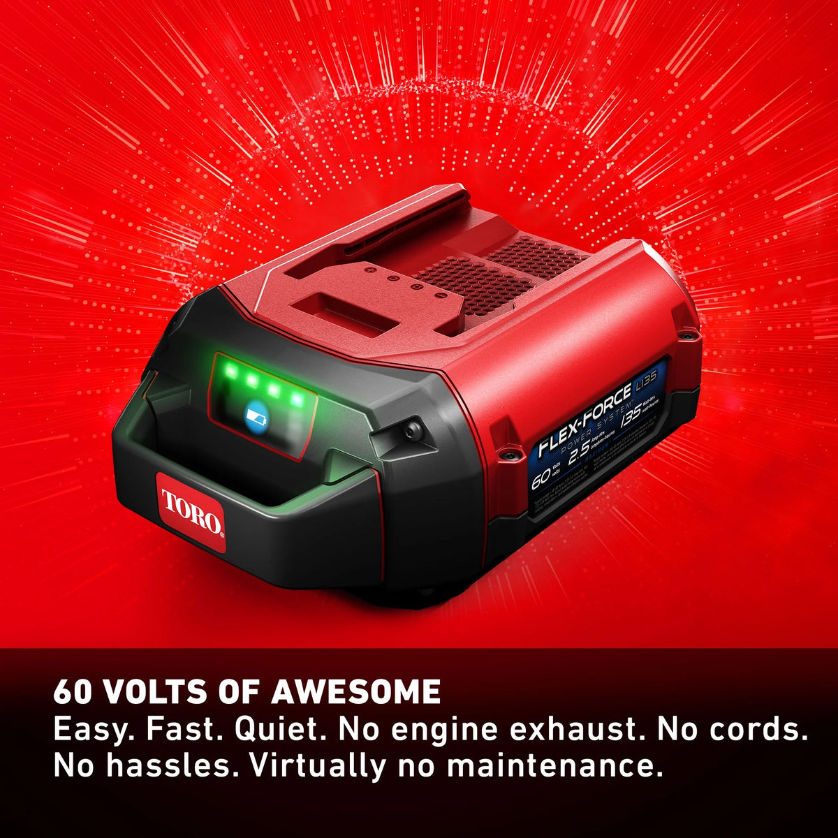 60V 16 Electric Brushless Chainsaw with Battery & Charger J439