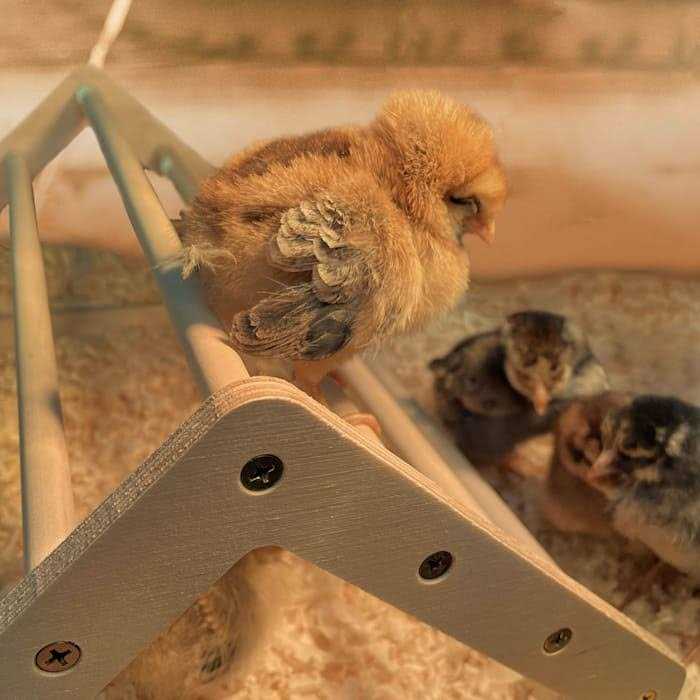 Chick Perch Roosting Bar Toy T2027