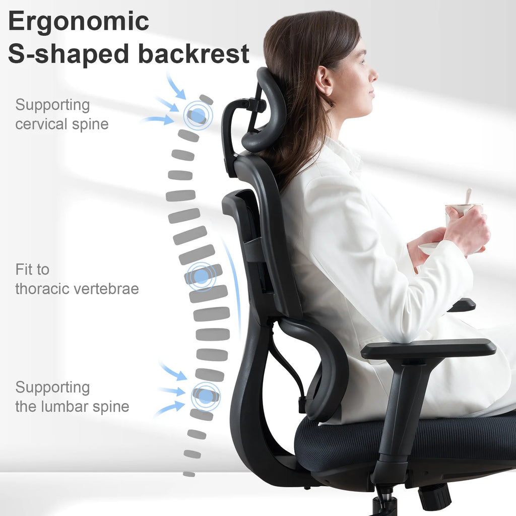Ergonomic Mesh Office Chair with Lumbar Support and Wheels, Black N92611