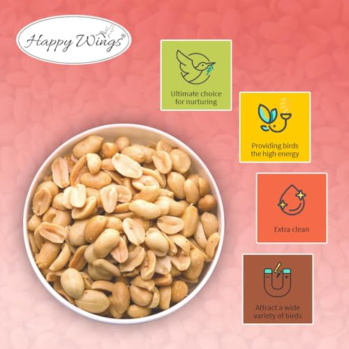 Peanuts Wild Bird Food 5 Pounds P430280