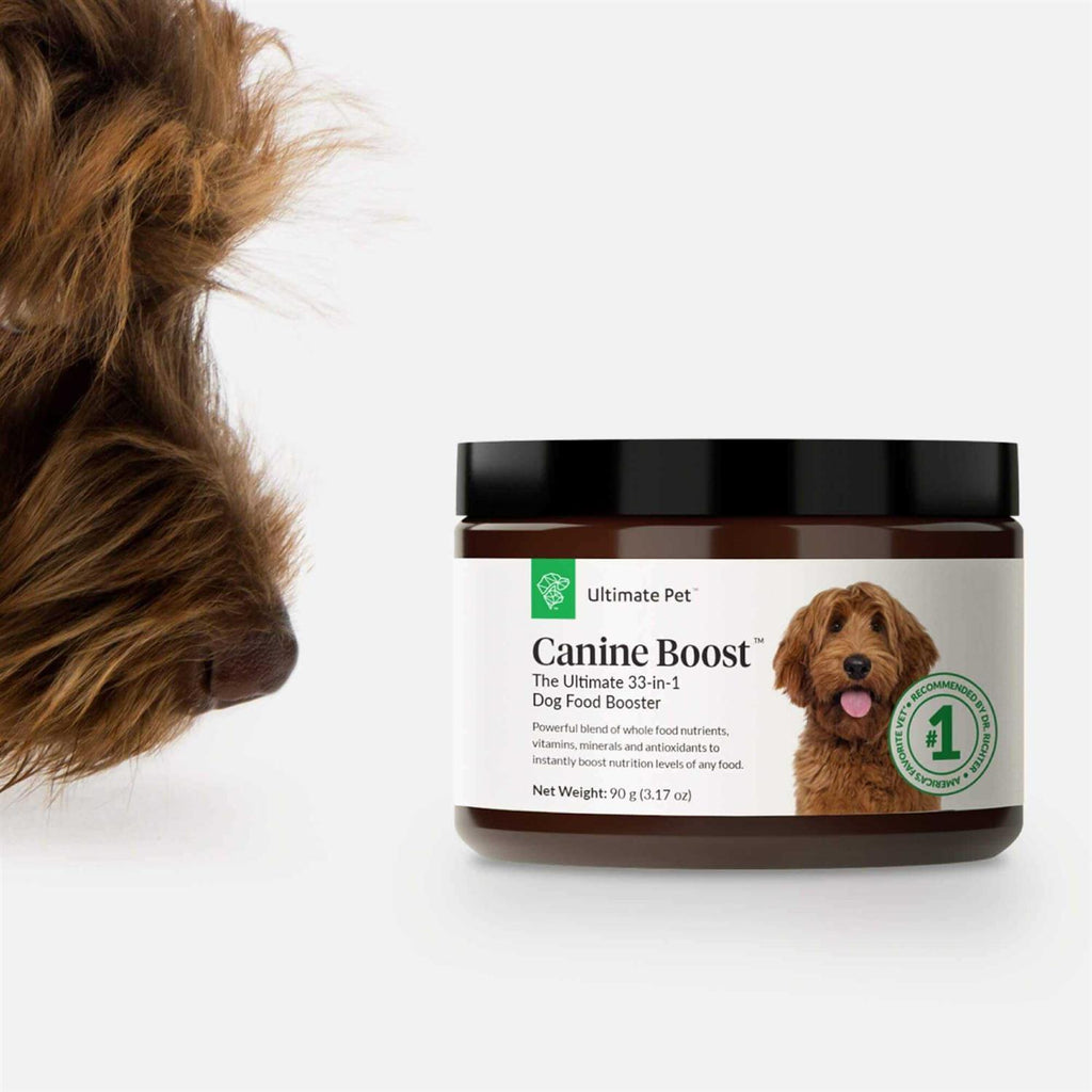 Canine Supplement Powder for Dogs X874808